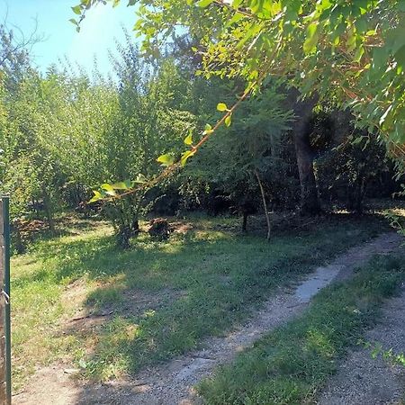 Villa La Colline Aux Oiseaux, La Tranquillite Des Bois Molieres-sur-Ceze Exterior foto