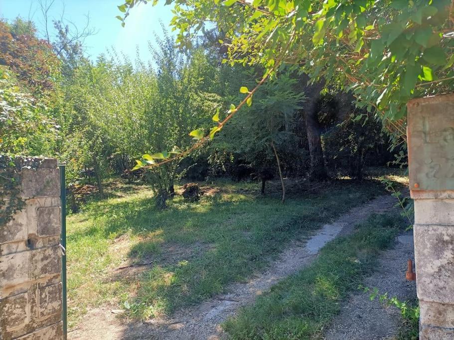 Villa La Colline Aux Oiseaux, La Tranquillite Des Bois Molieres-sur-Ceze Exterior foto