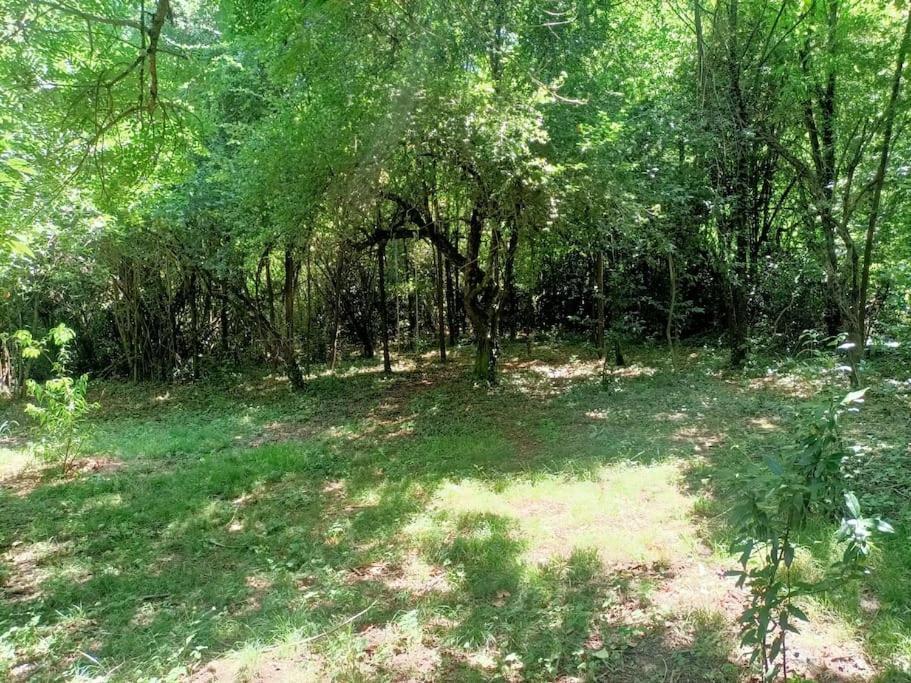 Villa La Colline Aux Oiseaux, La Tranquillite Des Bois Molieres-sur-Ceze Exterior foto